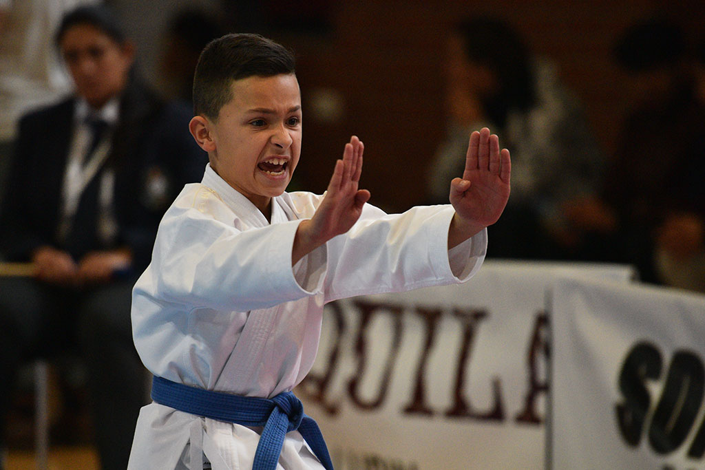 W ZSI zakończył się 2. dzień 18. edycji turnieju karate Cuprum