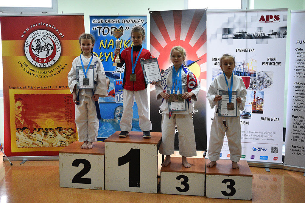 W ZSI zakończył się 2. dzień 18. edycji turnieju karate Cuprum