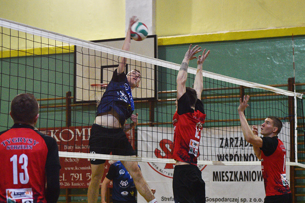 Siatkarze Ikara na fali. Rozbili Tygrysy Strzelin w 70 minut