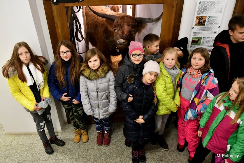 Prawie setka dzieci wyjechała na Rajd Mikołajkowy w góry