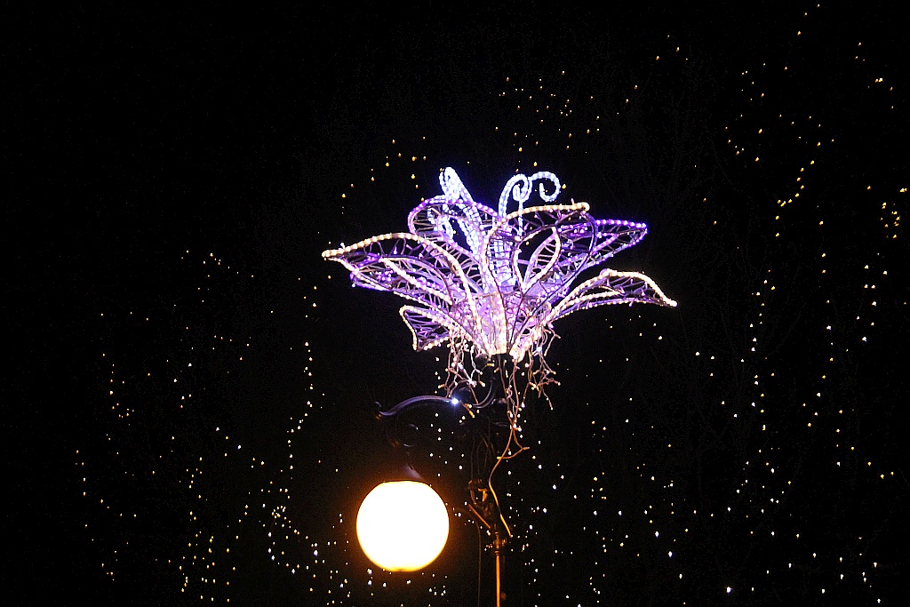 Iluminacje w mieście rozbłysły to znak, że święta już blisko