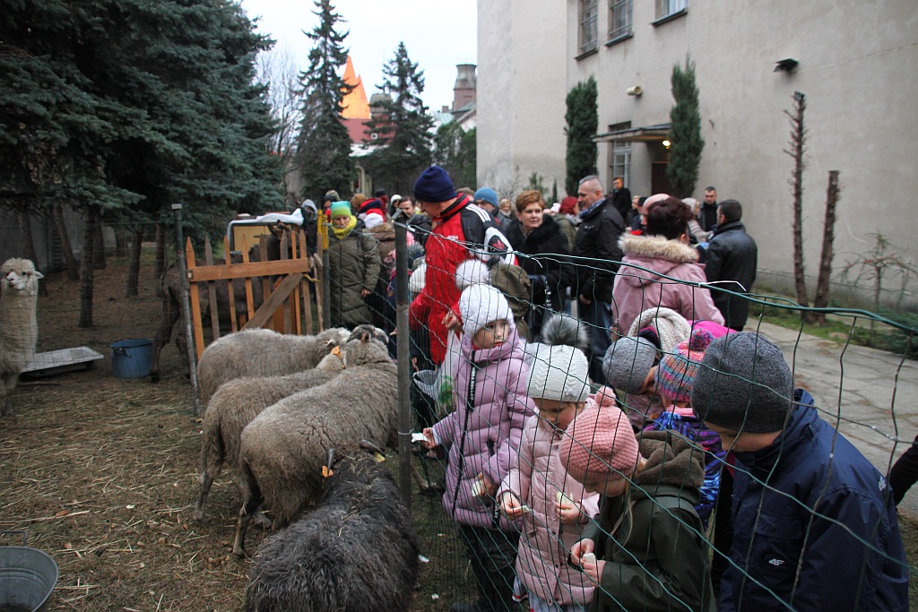 Żywa szopka przy kościele św. Jana cieszy oczy i napawa radością
