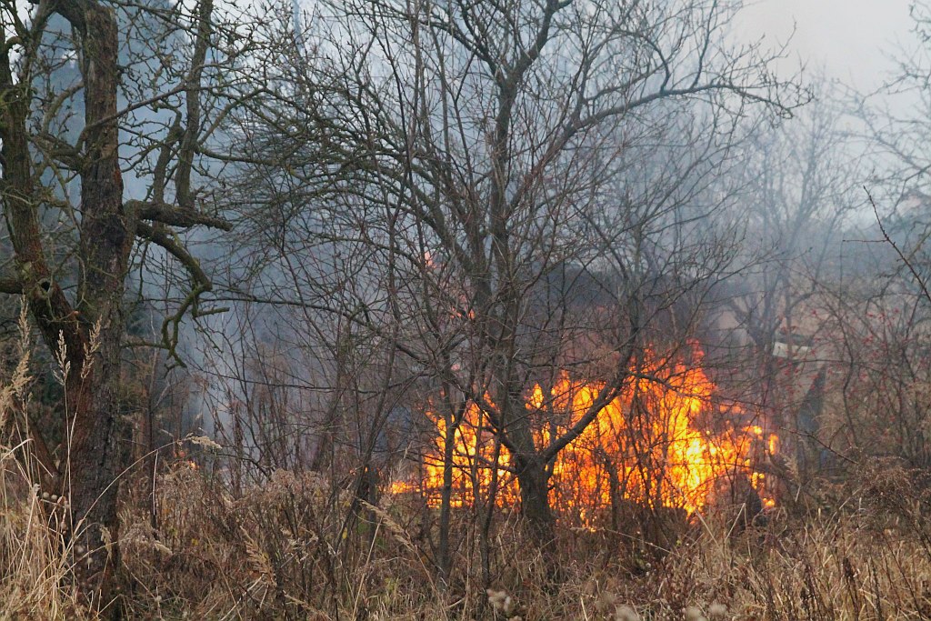 Pożar czterech altanek przy ulicy Pątnowskiej w Legnicy