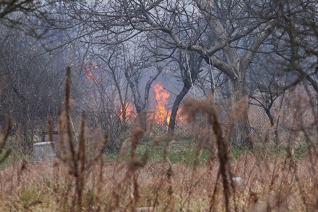 Pożar czterech altanek przy ulicy Pątnowskiej w Legnicy