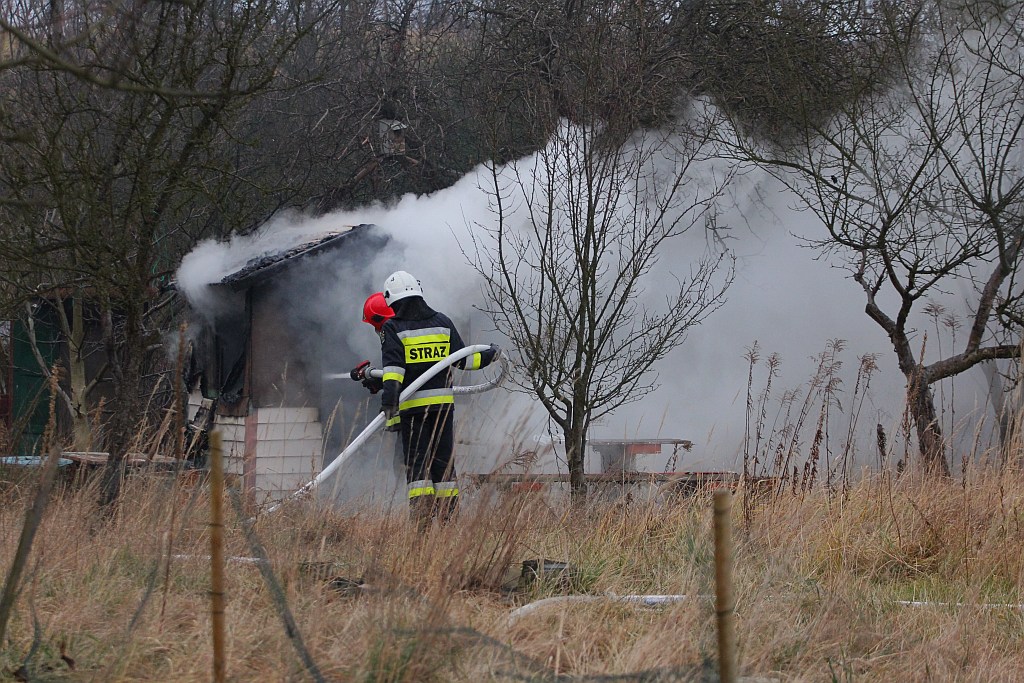 Pożar czterech altanek przy ulicy Pątnowskiej w Legnicy