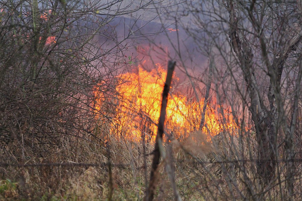 Pożar czterech altanek przy ulicy Pątnowskiej w Legnicy