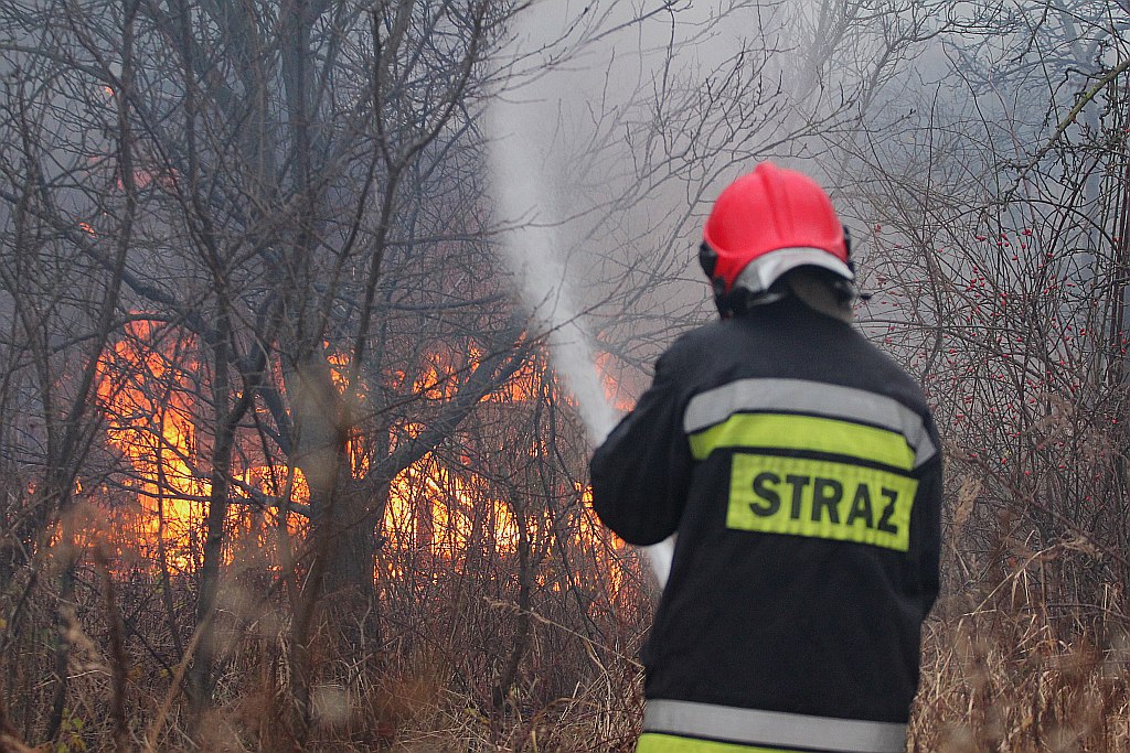 Pożar czterech altanek przy ulicy Pątnowskiej w Legnicy