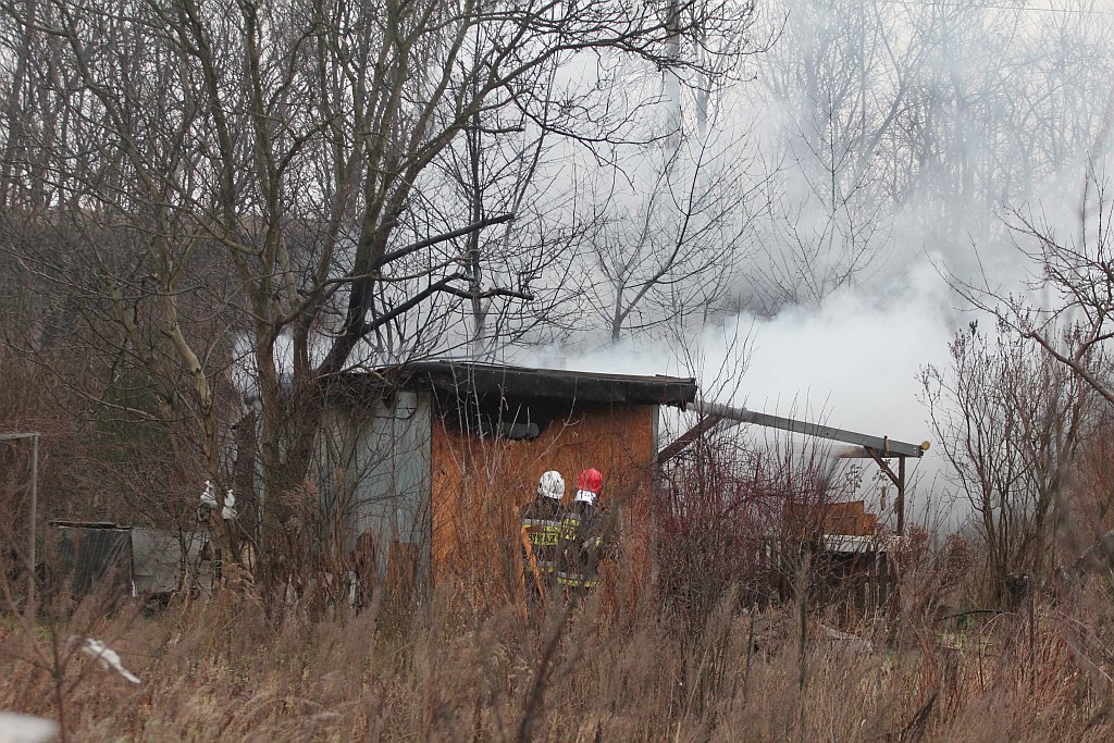 Pożar czterech altanek przy ulicy Pątnowskiej w Legnicy