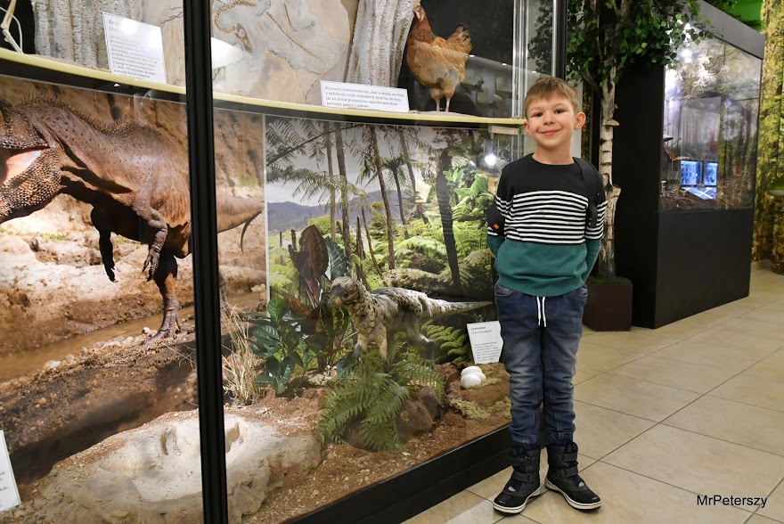 Minął pierwszy tydzień ferii zimowych w Domu Kultury „Atrium”