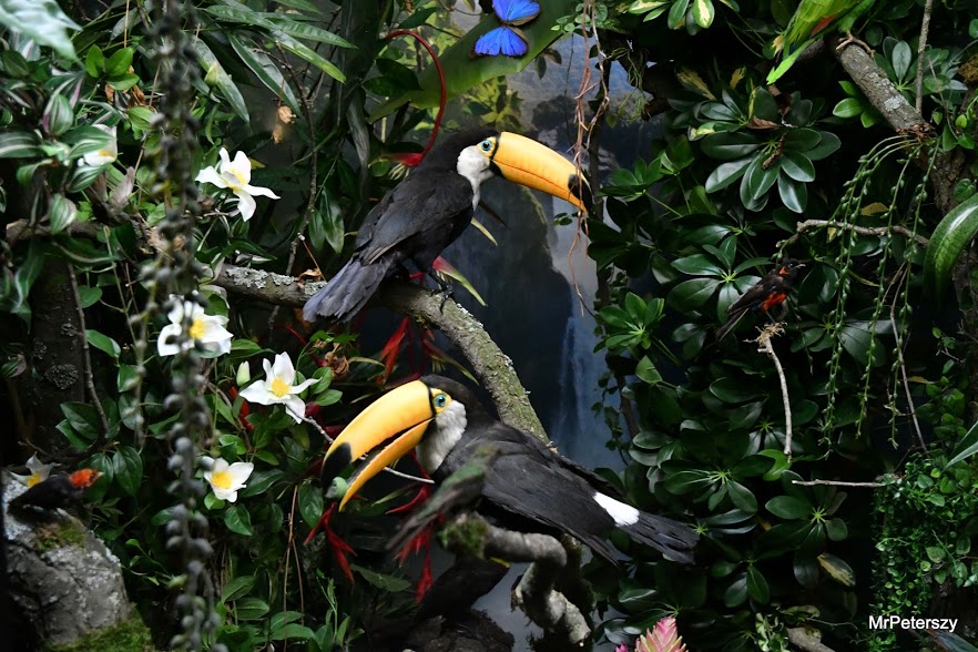 Minął pierwszy tydzień ferii zimowych w Domu Kultury „Atrium”