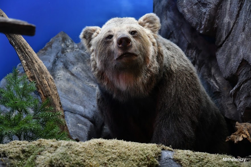 Minął pierwszy tydzień ferii zimowych w Domu Kultury „Atrium”