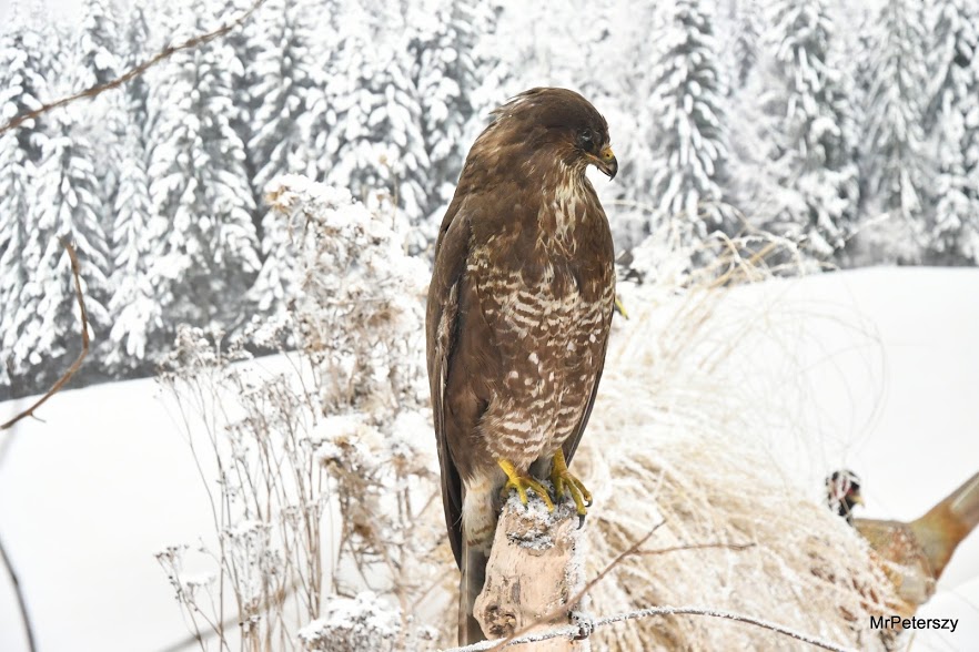 Minął pierwszy tydzień ferii zimowych w Domu Kultury „Atrium”