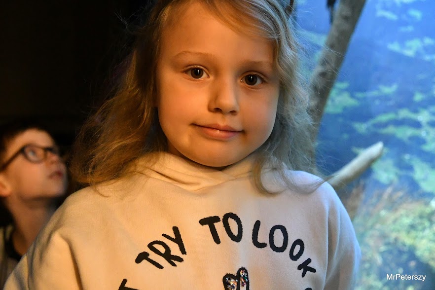 Minął pierwszy tydzień ferii zimowych w Domu Kultury „Atrium”