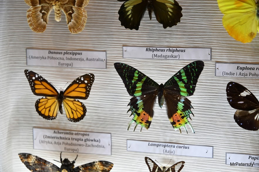 Minął pierwszy tydzień ferii zimowych w Domu Kultury „Atrium”