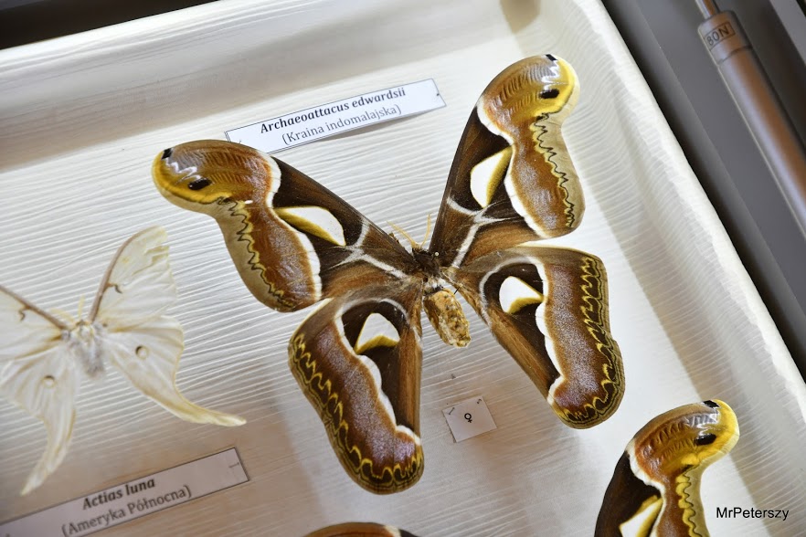 Minął pierwszy tydzień ferii zimowych w Domu Kultury „Atrium”