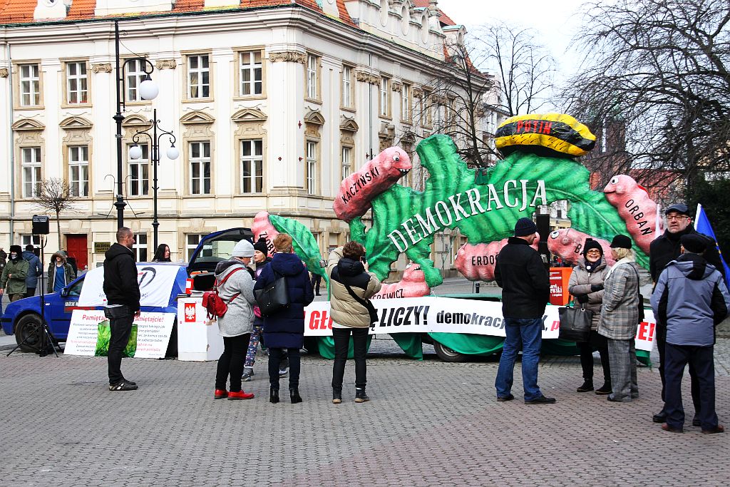 Gąsienice pożerające demokrację dotarły do legnickiego rynku
