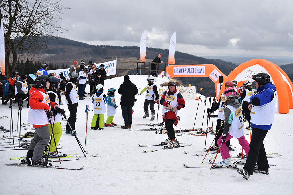 Legnicki slalom gigant na Łysej Górze w Dziwiszowie