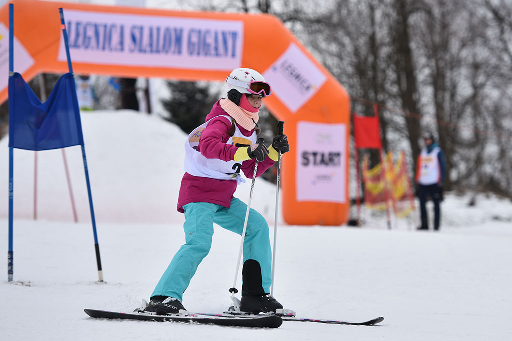 Legnicki slalom gigant na Łysej Górze w Dziwiszowie