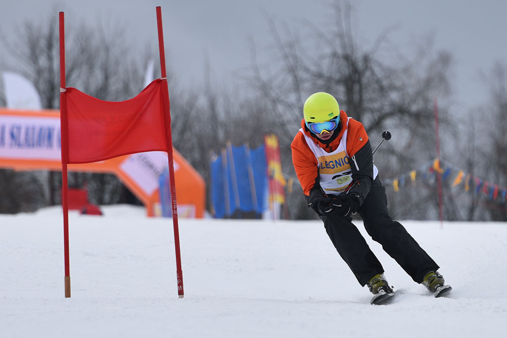 Legnicki slalom gigant na Łysej Górze w Dziwiszowie