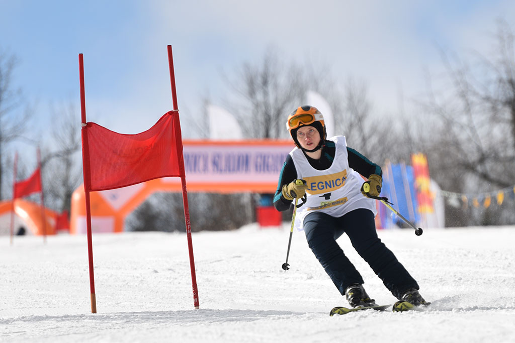 Legnicki slalom gigant na Łysej Górze w Dziwiszowie