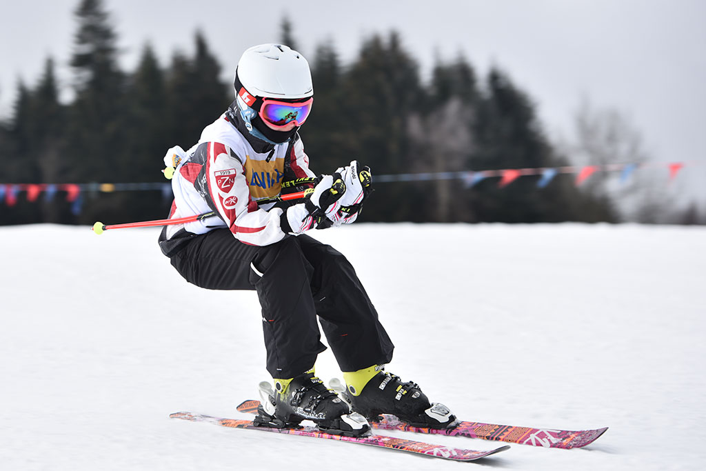 Legnicki slalom gigant na Łysej Górze w Dziwiszowie