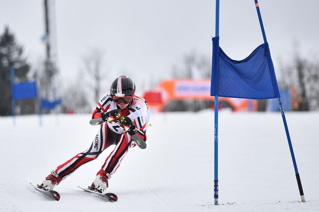 Legnicki slalom gigant na Łysej Górze w Dziwiszowie
