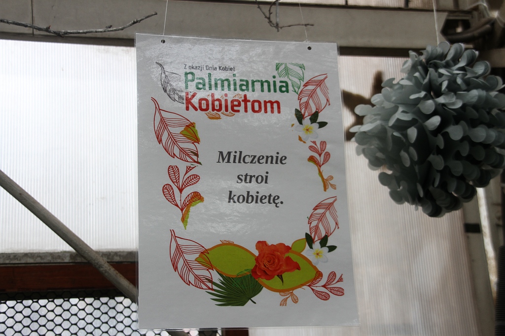 Najmłodsi legniczanie świętowali w palmiarni Dzień Kobiet