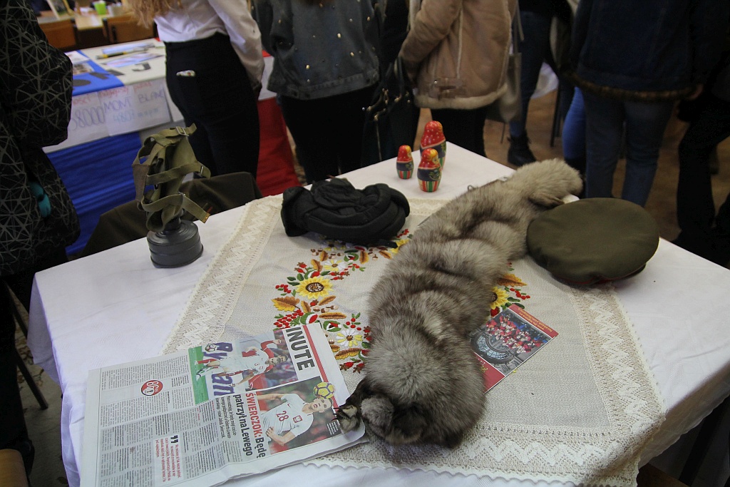 W II Liceum Ogólnokształcącym odbył się dzień otwarty