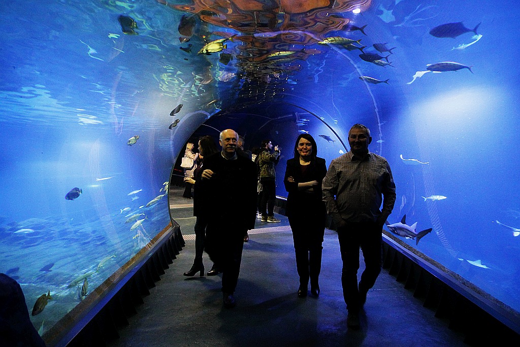Wrocławskie Afrykarium zwane zoologicznym cudem świata