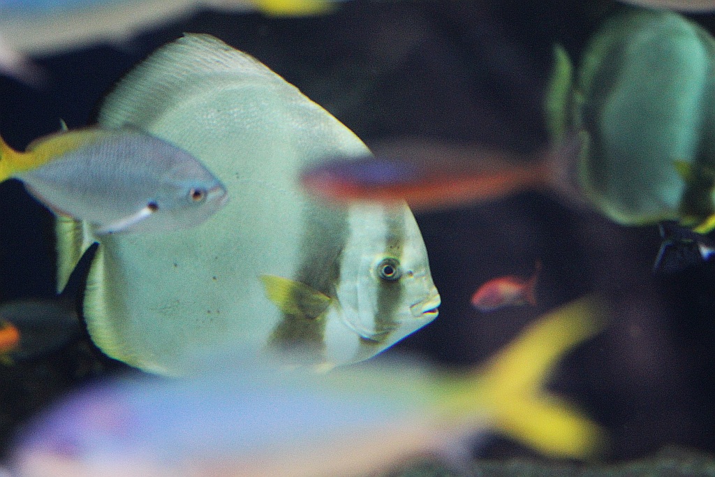 Wrocławskie Afrykarium zwane zoologicznym cudem świata