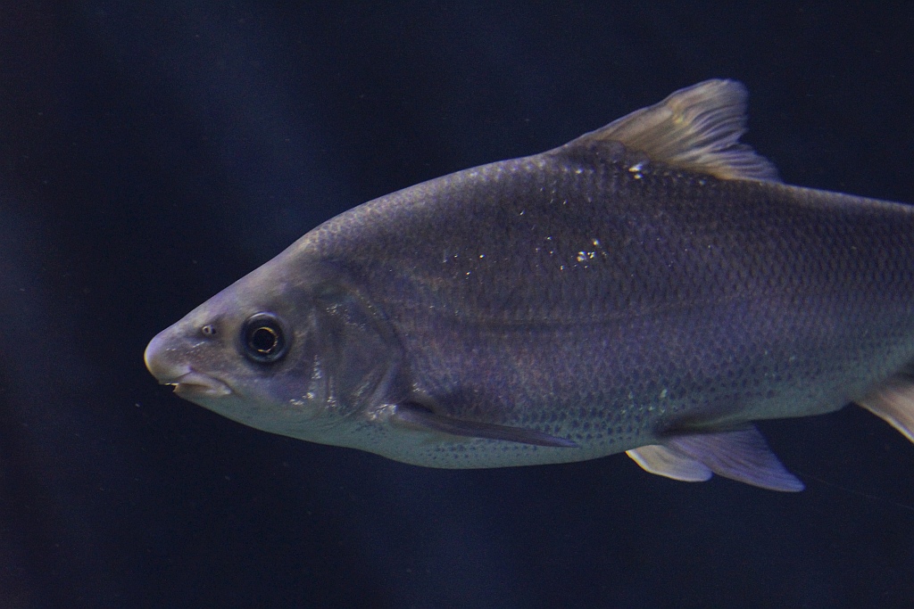 Wrocławskie Afrykarium zwane zoologicznym cudem świata