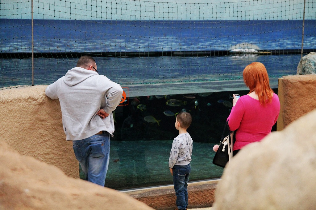 Wrocławskie Afrykarium zwane zoologicznym cudem świata