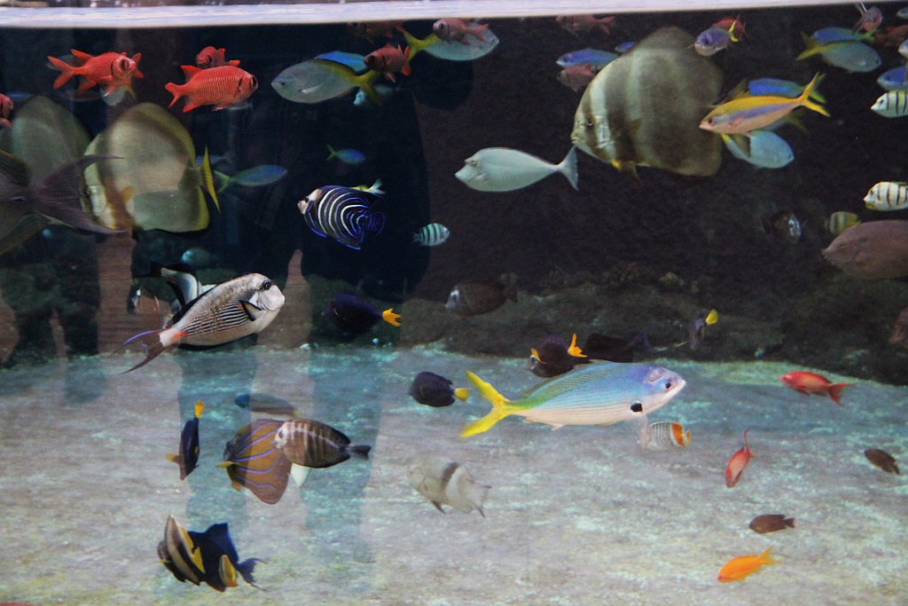 Wrocławskie Afrykarium zwane zoologicznym cudem świata