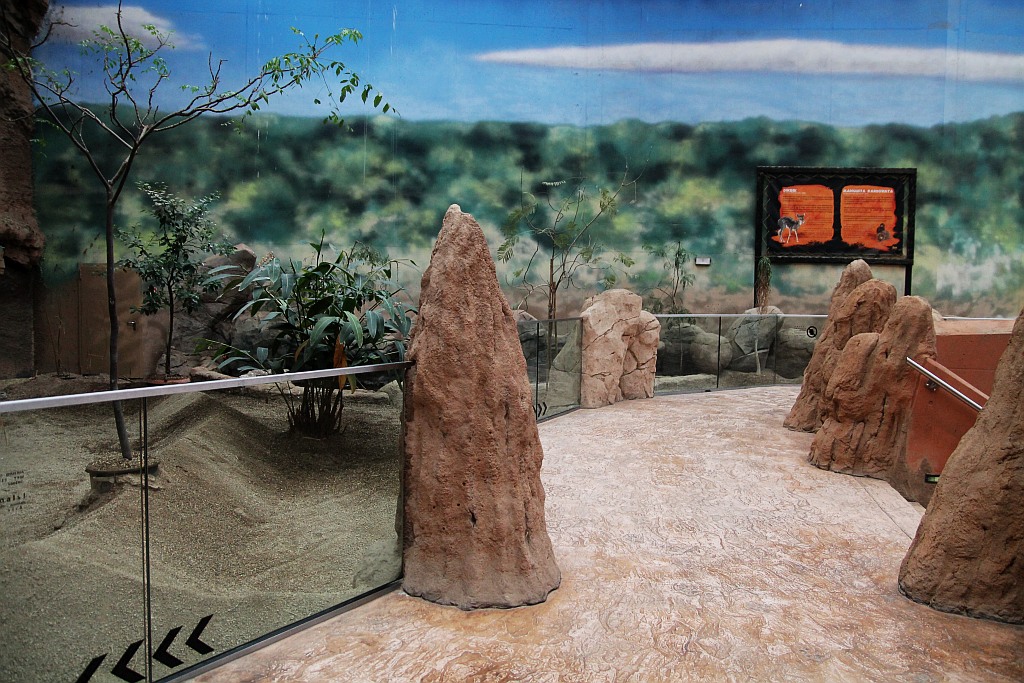 Wrocławskie Afrykarium zwane zoologicznym cudem świata