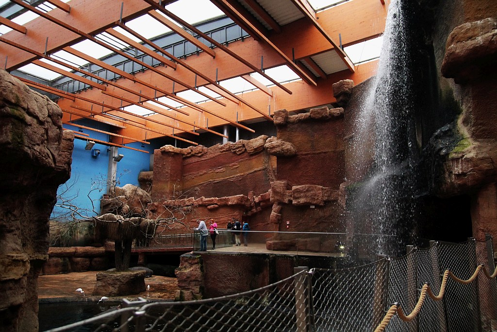 Wrocławskie Afrykarium zwane zoologicznym cudem świata