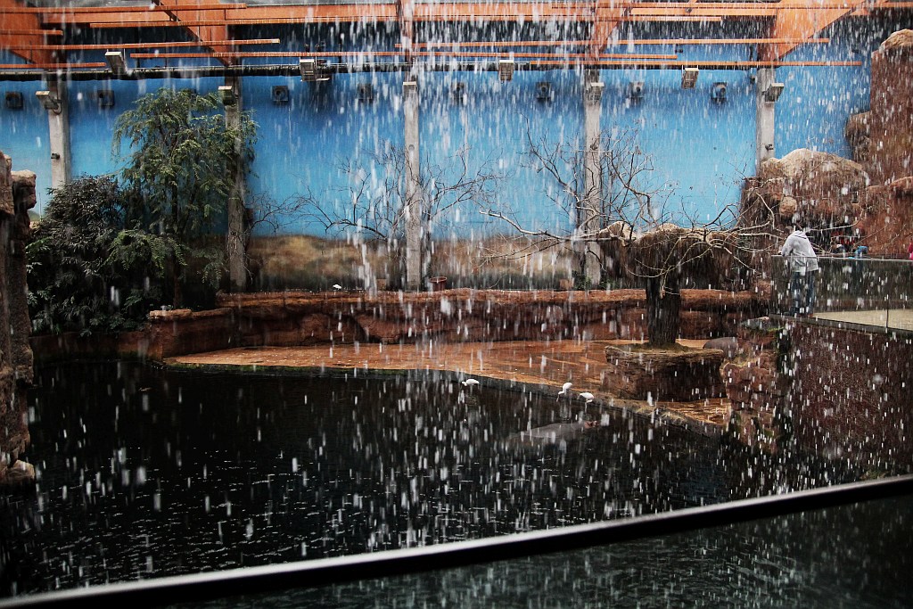 Wrocławskie Afrykarium zwane zoologicznym cudem świata