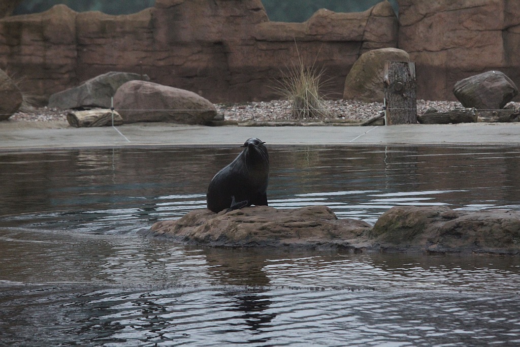Wrocławskie Afrykarium zwane zoologicznym cudem świata
