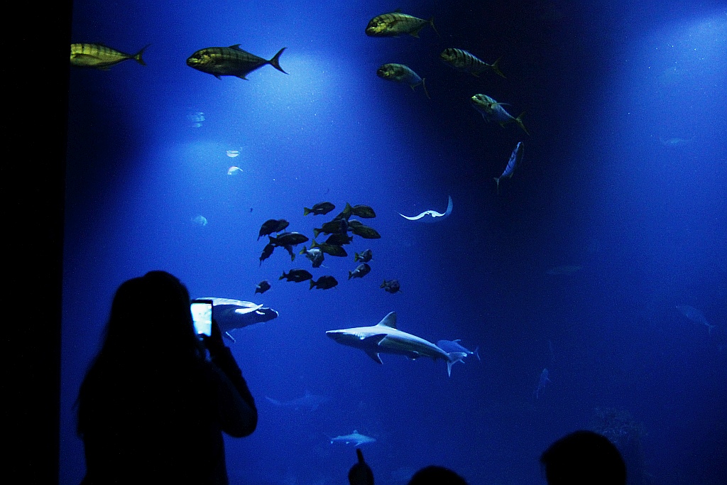 Wrocławskie Afrykarium zwane zoologicznym cudem świata