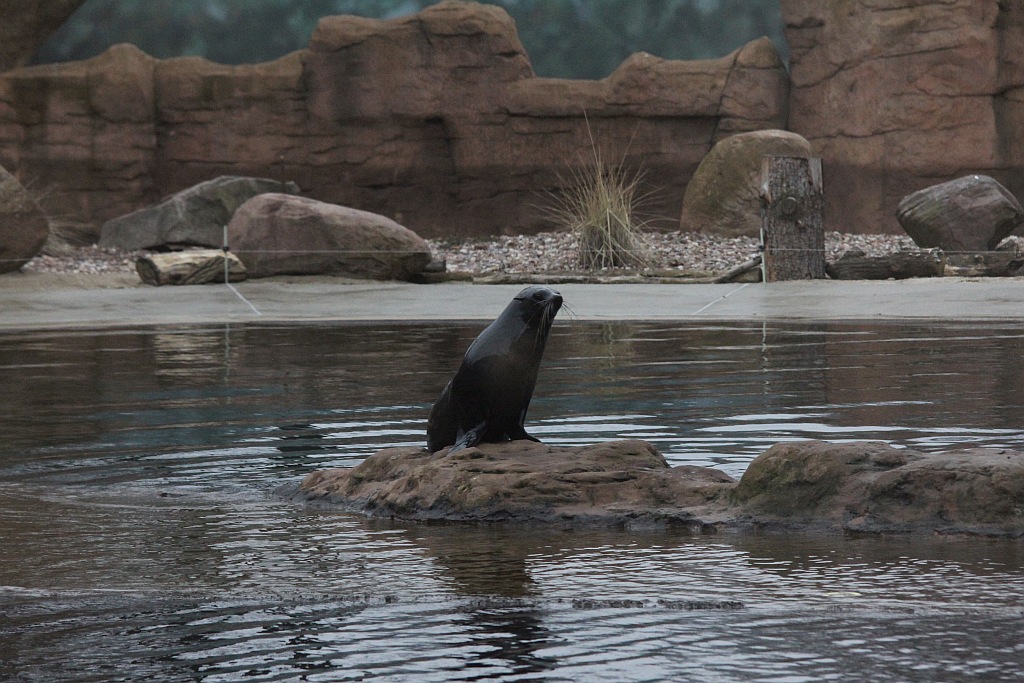 Wrocławskie Afrykarium zwane zoologicznym cudem świata