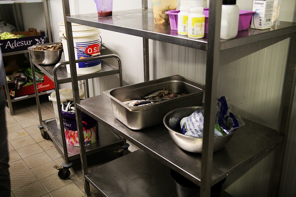 Wrocławskie Afrykarium zwane zoologicznym cudem świata