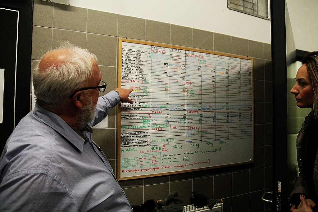 Wrocławskie Afrykarium zwane zoologicznym cudem świata