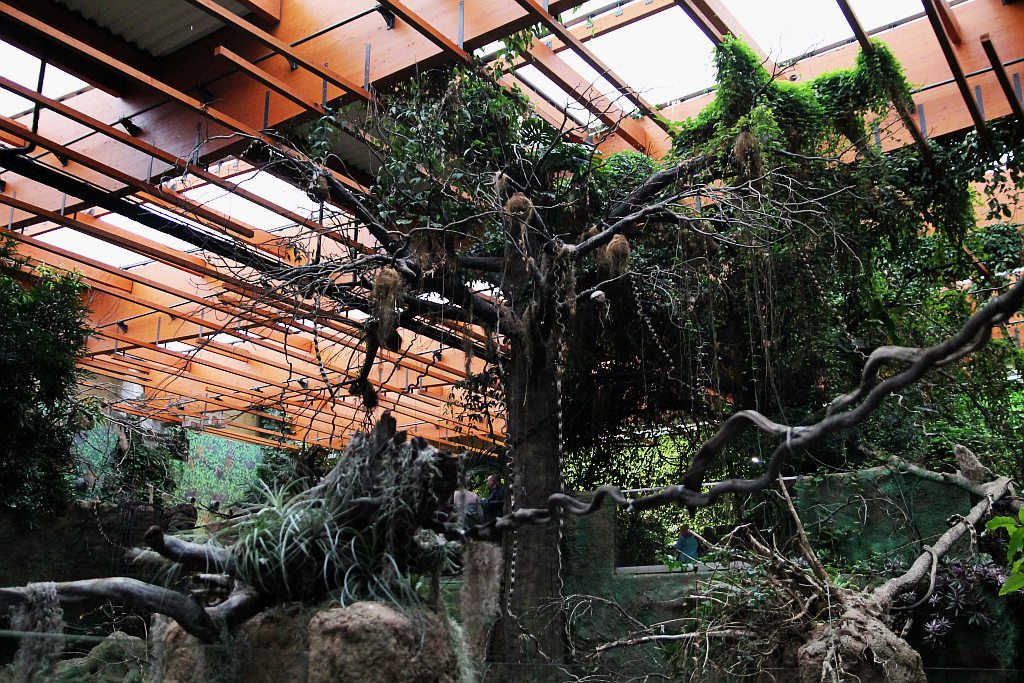 Wrocławskie Afrykarium zwane zoologicznym cudem świata