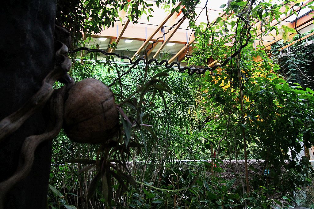 Wrocławskie Afrykarium zwane zoologicznym cudem świata