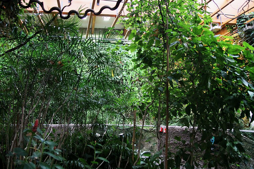 Wrocławskie Afrykarium zwane zoologicznym cudem świata