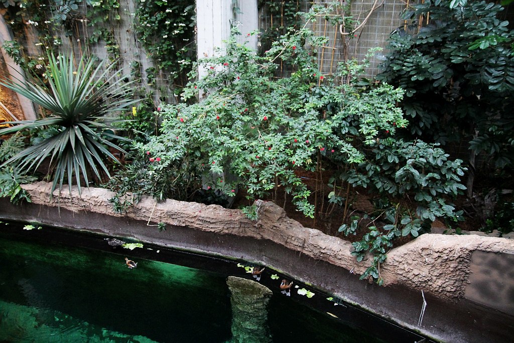 Wrocławskie Afrykarium zwane zoologicznym cudem świata