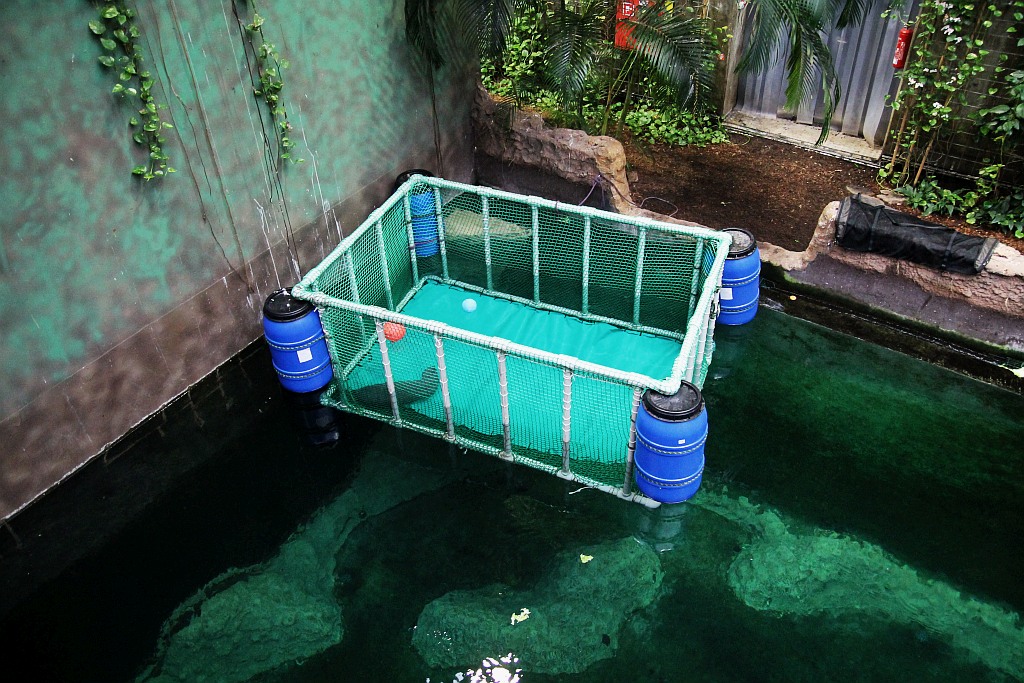 Wrocławskie Afrykarium zwane zoologicznym cudem świata