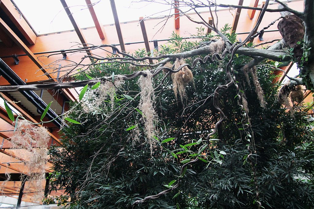 Wrocławskie Afrykarium zwane zoologicznym cudem świata