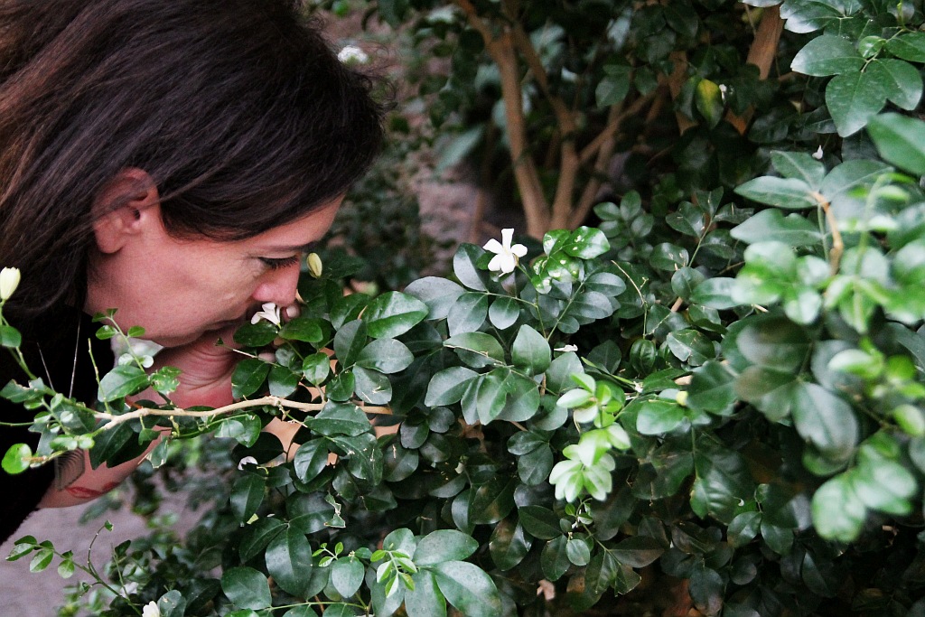 Wrocławskie Afrykarium zwane zoologicznym cudem świata