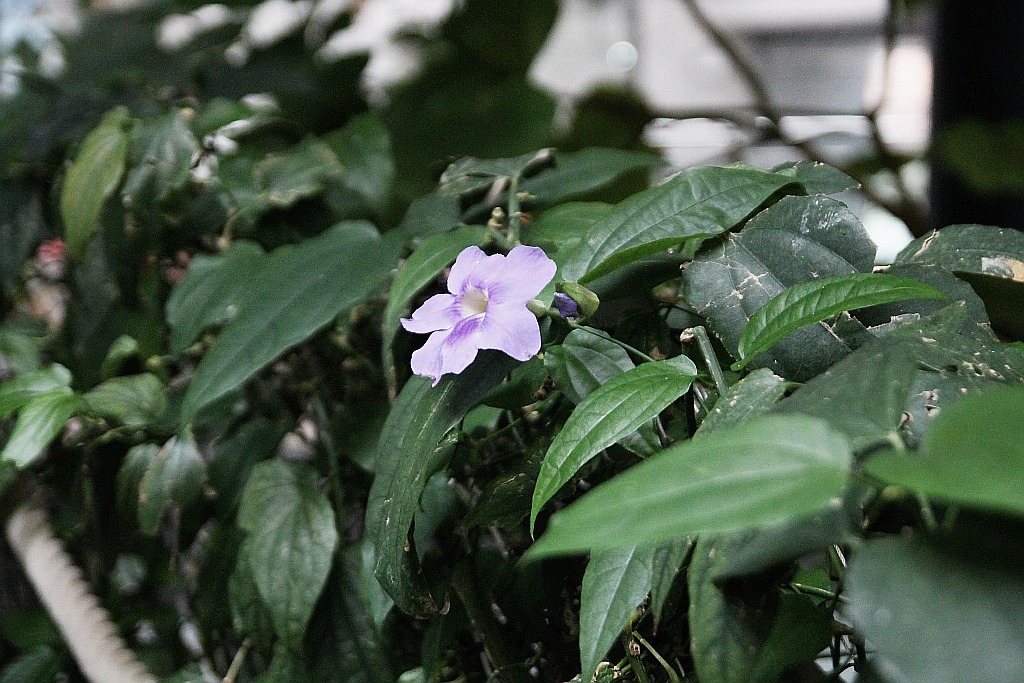 Wrocławskie Afrykarium zwane zoologicznym cudem świata