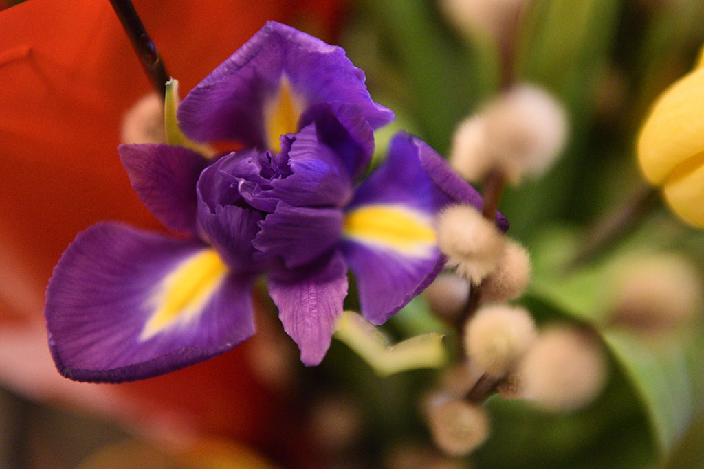 „Wielkie Świętowanie” teatru w obiektywie Karola Budrewicza